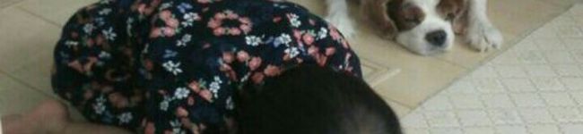 humpybumpy's header image