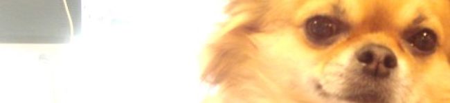 o6v6o's header image