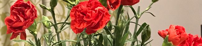 ettchan103's header image