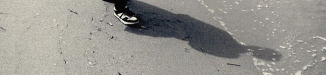yo_shiii's header image