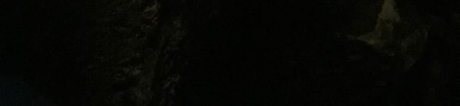 鰻ロール's header image