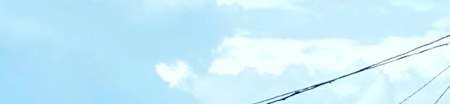 もん母ちゃん's header image