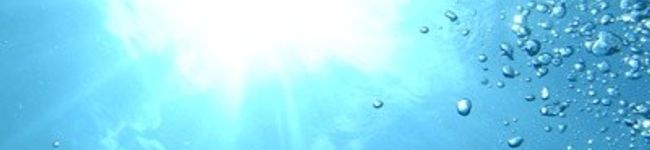 ソネチコ's header image
