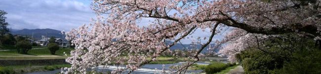 えりころりん's header image