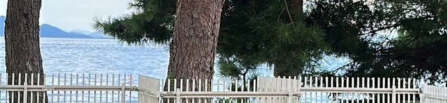 megummis's header image
