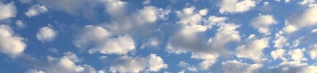 Fuwaliy's header image