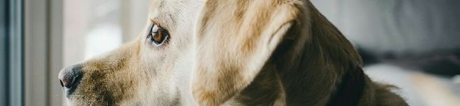isshishi's header image