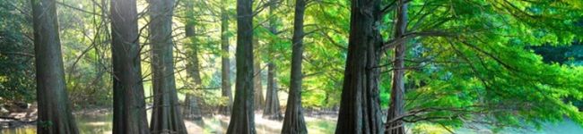 ⌘michimap⌘'s header image