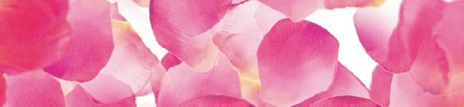 CO♥️CO's header image