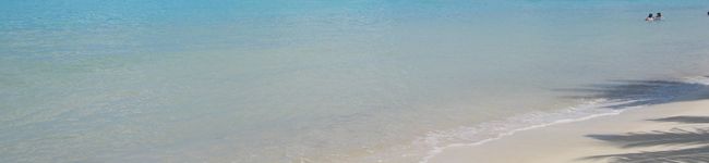 nanaぽん's header image