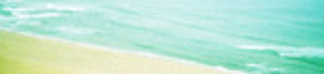 +rina+'s header image