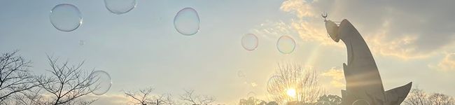 (๑･̑◡･̑๑)'s header image