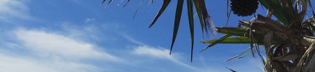 a☆kimiko's header image