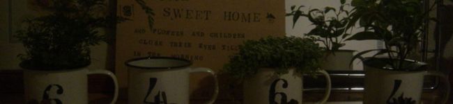 小人の靴屋's header image
