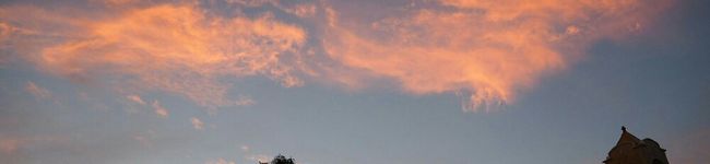 かぴまま1117's header image
