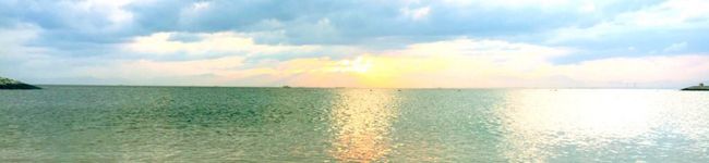 Lynn€'s header image