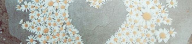 Sana_hpy's header image
