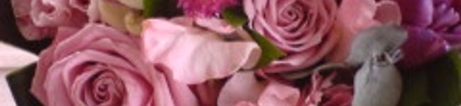 Bacuhaas's header image