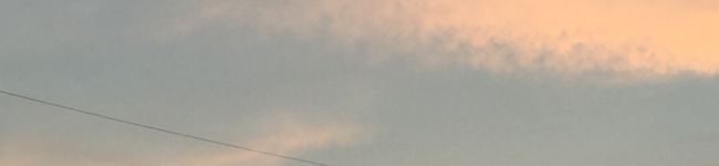 ゆうだい、's header image