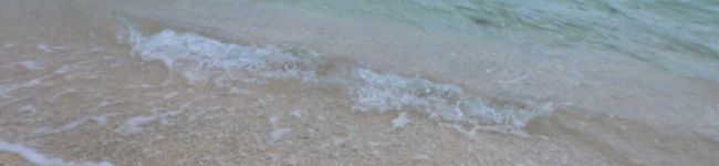yn329's header image