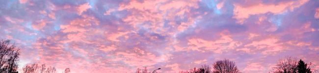 あいin北欧's header image