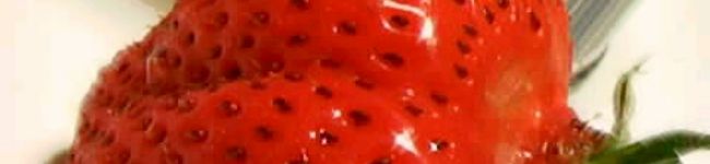 tmy14's header image