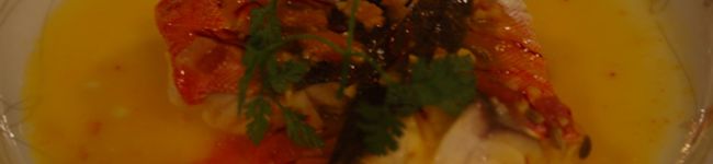 joemaydel's header image