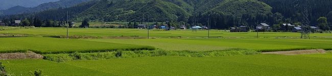 魚沼農耕舎's header image