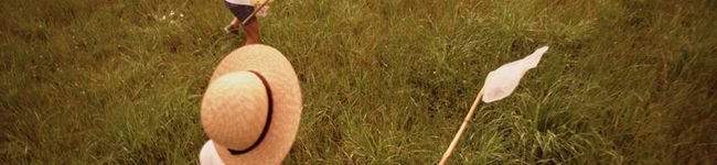ゆみゆめ's header image