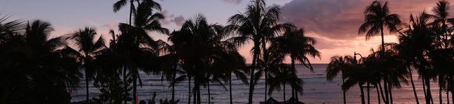 ヨシ0909's header image
