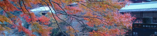 ayuhito's header image