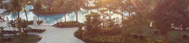 olive0045's header image