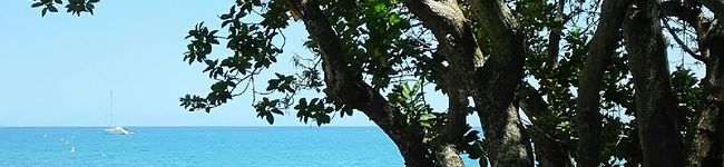 cocociva's header image