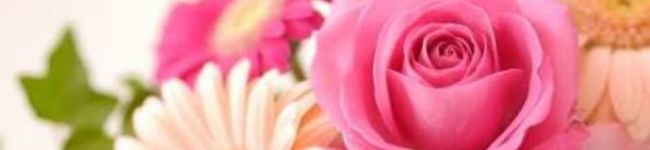 kana✩'s header image