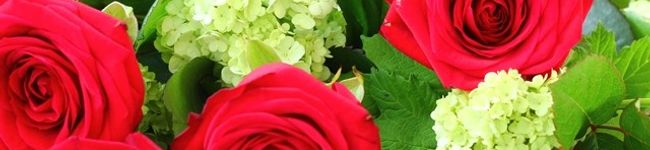 douce_mika's header image