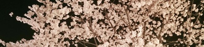 ★ゆずPON★'s header image