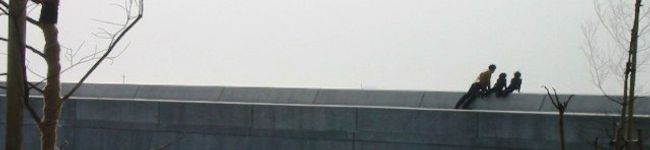 だいずん's header image