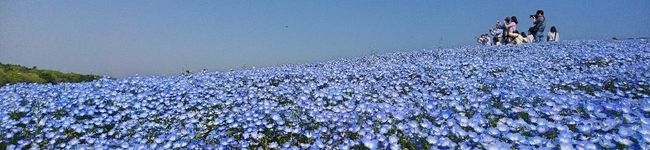 amao37's header image