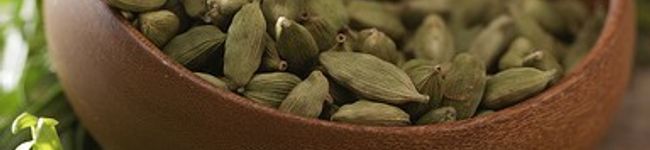happy_karen221's header image
