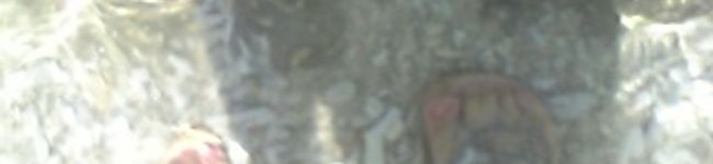 綾**'s header image