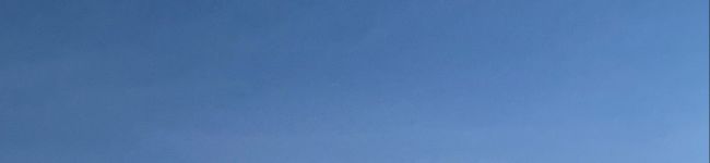 Lilac⁑'s header image