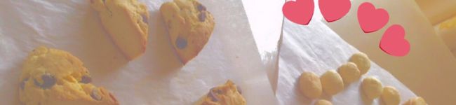 のんたん♬'s header image
