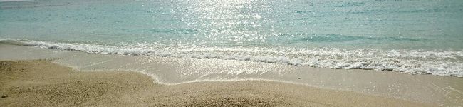 ぱかこ。's header image