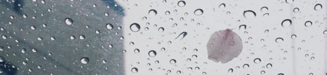 lululalan's header image