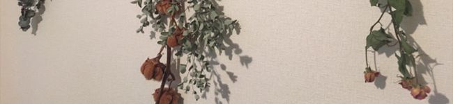 yui0616__'s header image