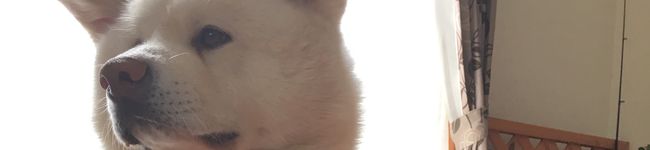 ikumi01t's header image