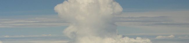 にぬキッス's header image