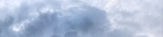 しんのんし's header image