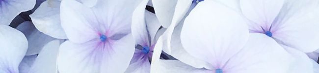 ♡maiicook♡'s header image