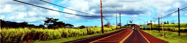 たこぶぅ26's header image